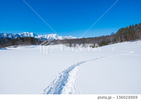 中山高原・スノートレッキング （北アルプスの眺め） 136028989