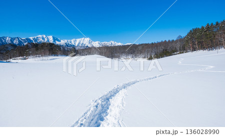中山高原・スノートレッキング (北アルプスの眺め) 中山高原・スノートレッキング (北アルプスの眺め) 136028990
