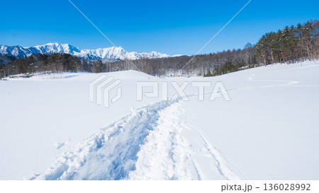 中山高原・スノートレッキング （北アルプスの眺め） 136028992
