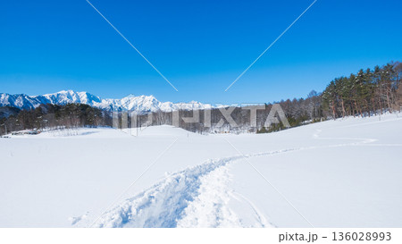 中山高原・スノートレッキング （北アルプスの眺め） 136028993