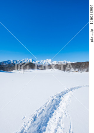 中山高原・スノートレッキング (北アルプスの眺め) 中山高原・スノートレッキング (北アルプスの眺め) 136028994