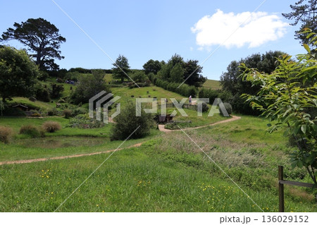 ホビット村の風景【ニュージーランド・マタマタ】 136029152