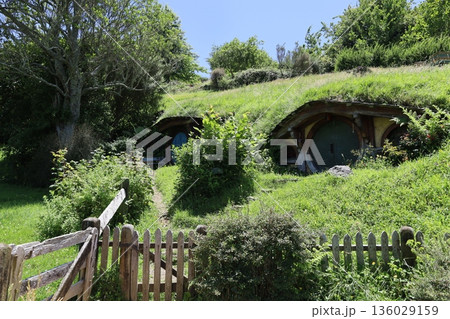 ホビット村の風景【ニュージーランド・マタマタ】 136029159