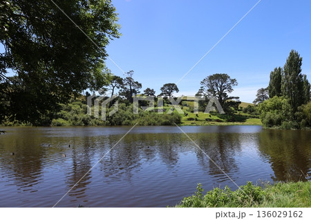 ホビット村、グリーンドラゴンから見る景色【ニュージーランド・マタマタ】 ホビット村、グリーンドラゴンから見る景色【ニュージーランド・マタマタ】 136029162