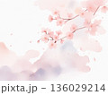 水彩で描いた桜の花のイラスト2 136029214
