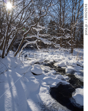 朝陽にきらめく雪景色 朝陽にきらめく雪景色 136029248