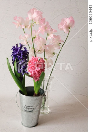 ヒヤシンスと切り花 ヒヤシンスと切り花 136029445