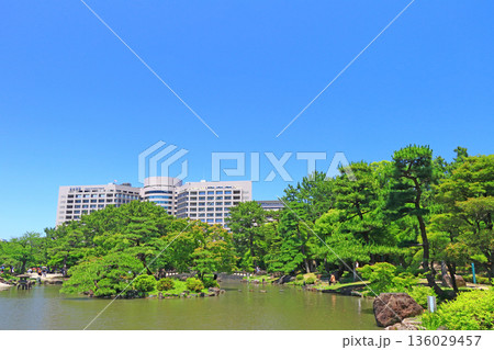 愛知県名古屋市、鶴舞公園の新緑と名大病院の風景 136029457