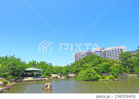 愛知県名古屋市、鶴舞公園の新緑と名大病院の風景 愛知県名古屋市、鶴舞公園の新緑と名大病院の風景 136029458