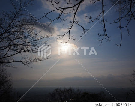 幻想的な朝の風景 136029518