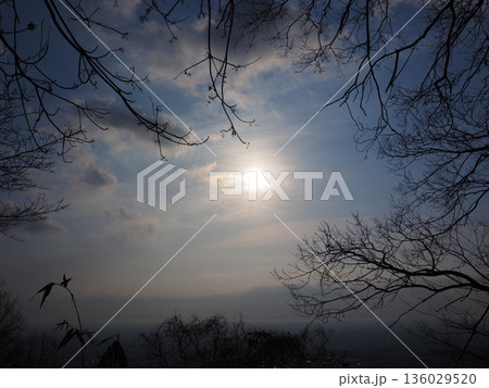 幻想的な朝の風景 幻想的な朝の風景 136029520