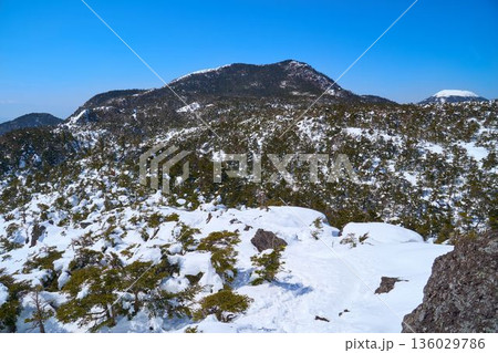 冬の長野県茅野市の北八ヶ岳の雨池山経由で向かう三ツ岳から西側の北横岳、蓼科山方面の眺望 136029786