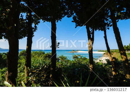 沖縄で見つけた南国の豊かな自然と文化を感じる風景 136031217
