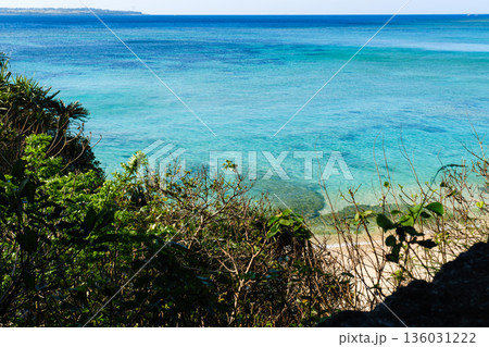 沖縄で見つけた南国の豊かな自然と文化を感じる風景 沖縄で見つけた南国の豊かな自然と文化を感じる風景 136031222