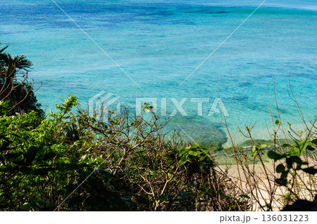 沖縄で見つけた南国の豊かな自然と文化を感じる風景 沖縄で見つけた南国の豊かな自然と文化を感じる風景 136031223