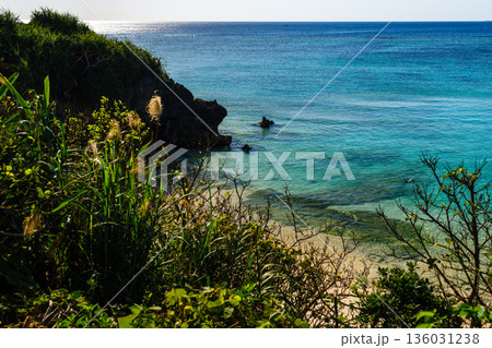 沖縄で見つけた南国の豊かな自然と文化を感じる風景 沖縄で見つけた南国の豊かな自然と文化を感じる風景 136031238