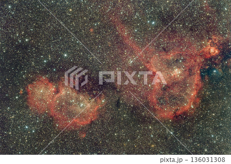 ハート&ソウル星雲 2022 ハート&ソウル星雲 2022 136031308