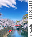 桜の咲く川 136031435
