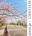 桜並木 136031436