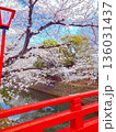 桜並木 136031437
