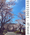 桜並木 136031438