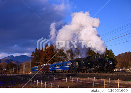 日光市　東武鬼怒川線　イルミネーションの中を走行するSL大樹 136031609