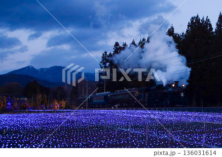 日光市　東武鬼怒川線　イルミネーションの中を走行するSL大樹 136031614