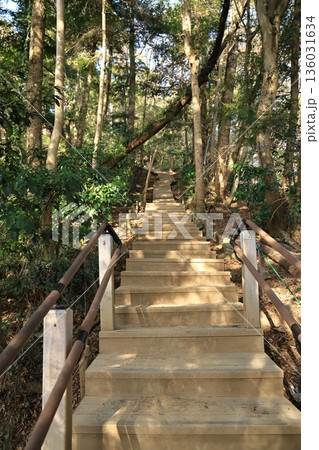 高尾山6号路の頂上へ続く階段 136031634