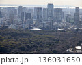 新宿風景 136031650