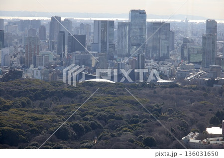 新宿風景 136031650