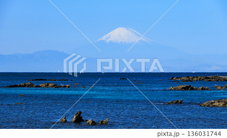 天神島臨海自然観測園 天神島臨海自然観測園 136031744