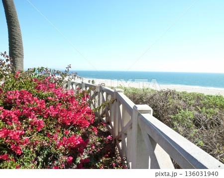 ロサンゼルスの街並み ロサンゼルスの街並み 136031940