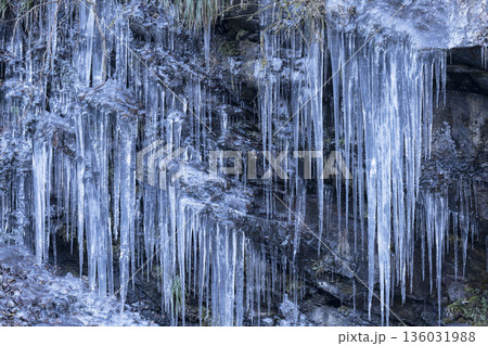 三十槌の氷柱 三十槌の氷柱 136031988