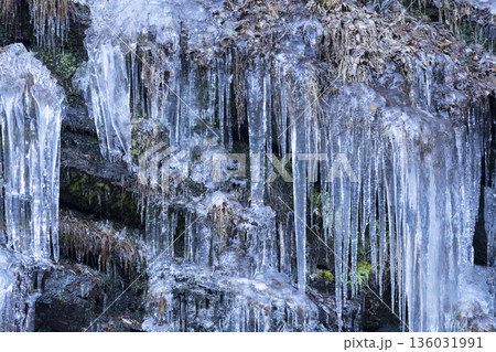 三十槌の氷柱 136031991