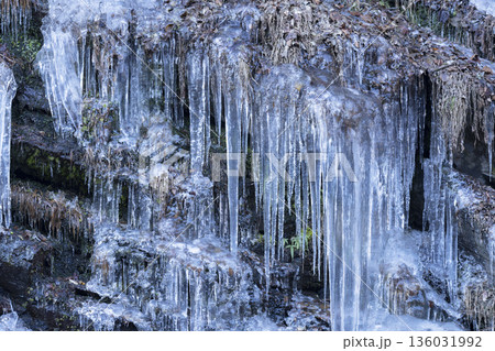 三十槌の氷柱 136031992