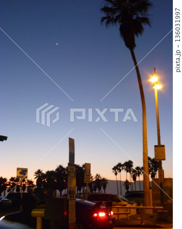 ロサンゼルス　ベニスビーチ 136031997