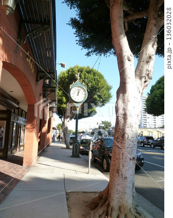 ロサンゼルス　ベニス 136032028
