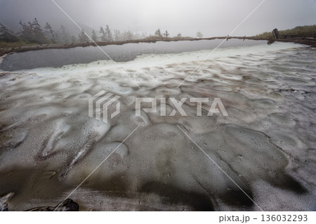 霧に煙る残雪の会津駒ヶ岳・駒ノ大池 136032293