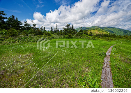 大津岐峠への登山道から見る会津駒ヶ岳 大津岐峠への登山道から見る会津駒ヶ岳 136032295