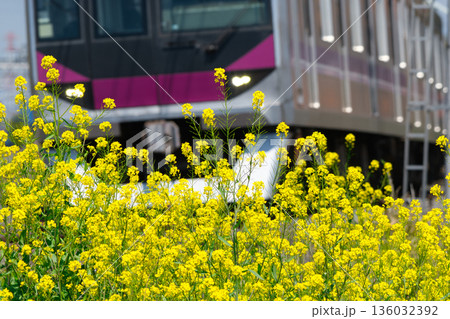 東京メトロ 08系 東京メトロ 08系 136032392