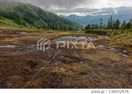 霧に煙る会津駒ヶ岳稜線の湿原 136032676