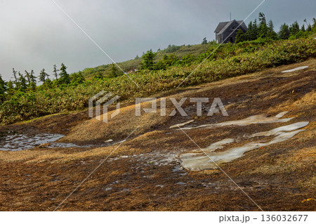 霧に煙る会津駒ヶ岳稜線の湿原と駒の小屋 136032677