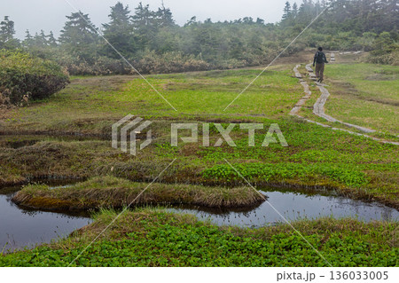 会津駒ヶ岳稜線の池塘と登山者 136033005