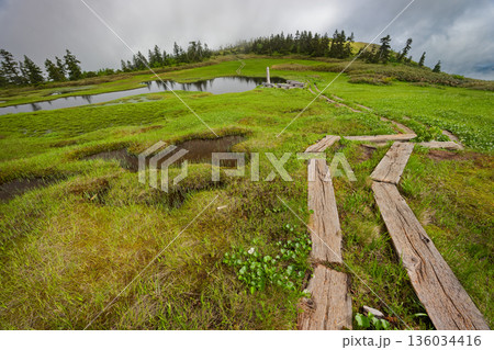 会津駒ヶ岳稜線・中門池の湿原 136034416