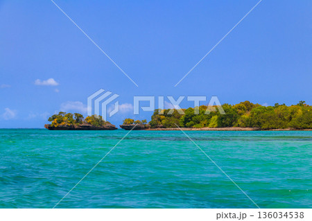 Mangroves in the lagoon of Kwale island. This is a small islet in the south of Zanzibar, Tanzania 136034538