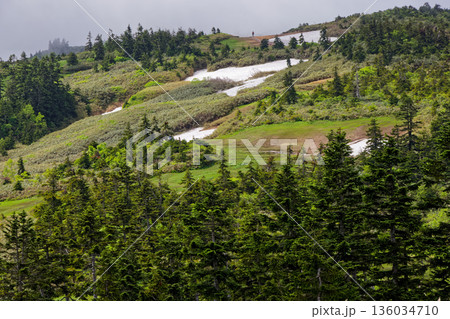 中門岳付近から見る残雪の会津駒ヶ岳稜線 136034710