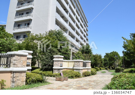 横浜市都筑区 港北ニュータウンの住宅街 136034747