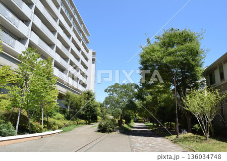 横浜市都筑区 港北ニュータウンの住宅街 136034748