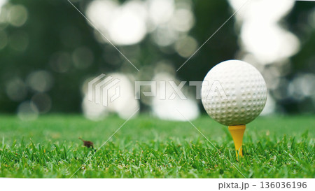 Golf ball on tee in green golf field with recreation sport training course. Tee and ball Sports Equipment in Golf Tournament. 136036196