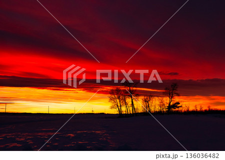 Colorful red and orange sunset sky in winter prairies. Colorful red and orange sunset sky in winter prairies. 136036482